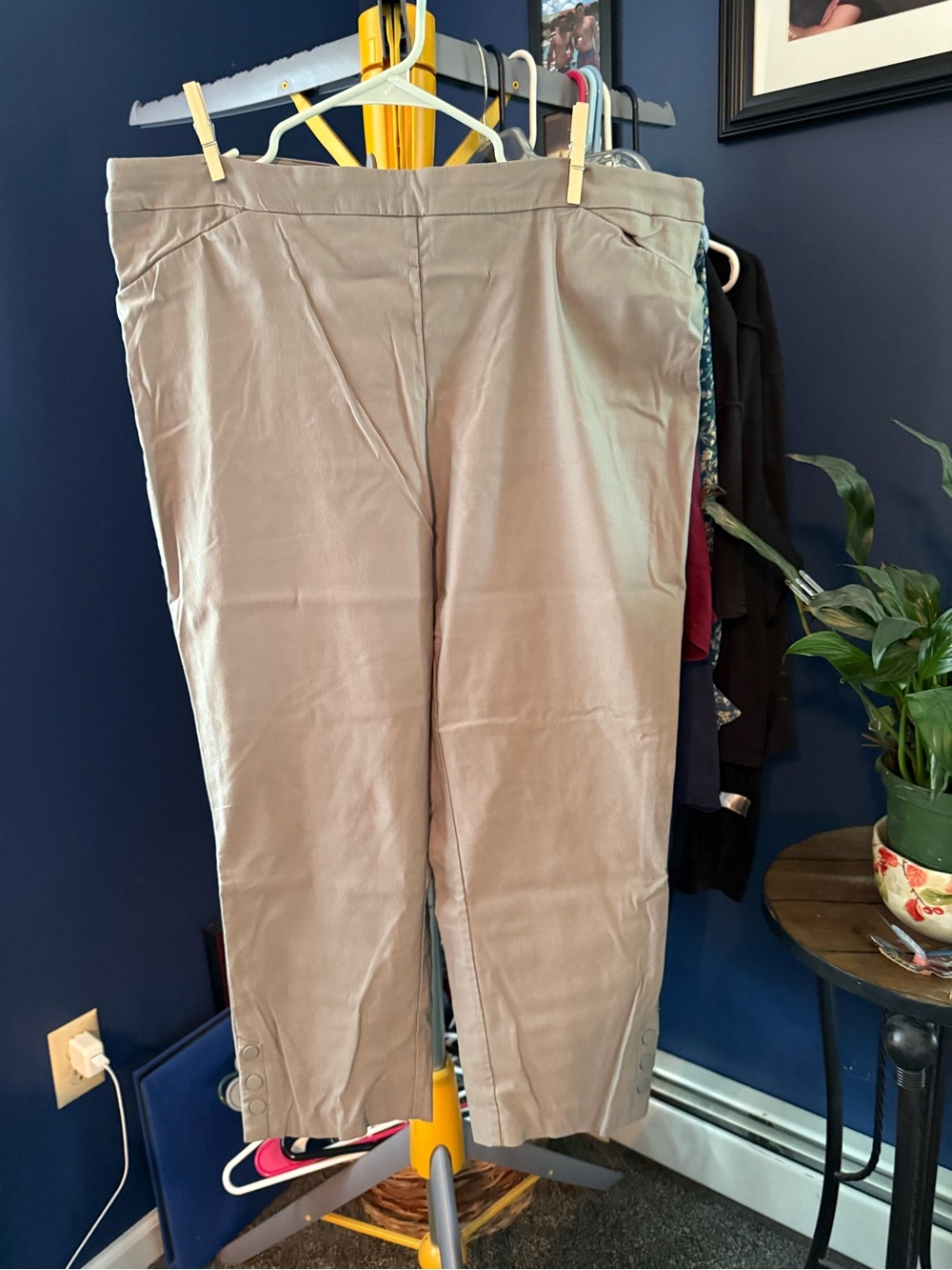 Tribal Taupe Cropped Stretch Pants with Hem Button Detail